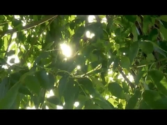 Strumento chirurgico a sonda